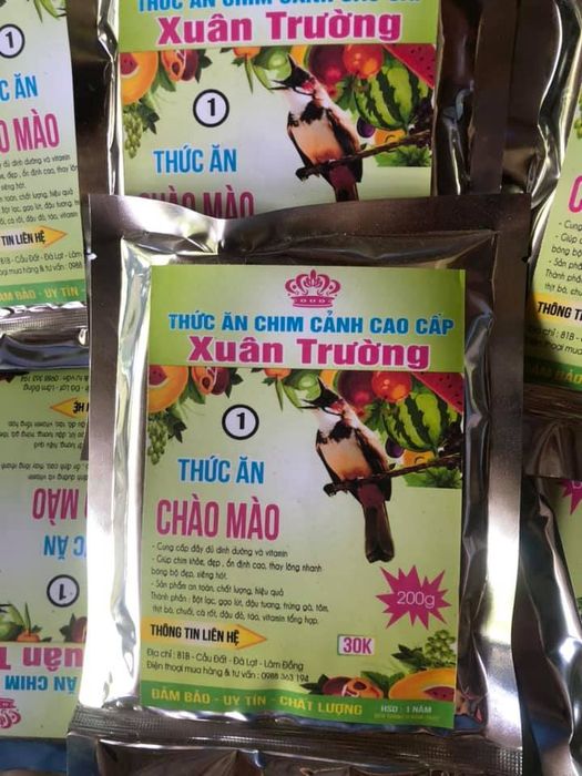 Cám Chim Xuân Trường - Hình ảnh 2