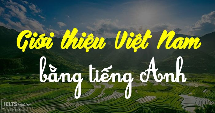 Hình minh họa (Nguồn từ internet) - Ảnh 1