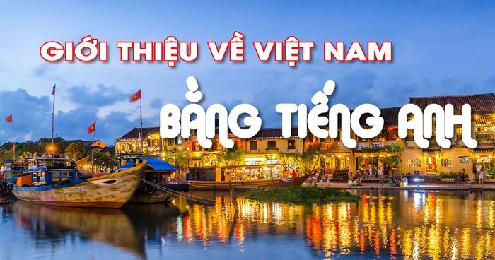 Hình minh họa (Nguồn internet) - Ảnh 1