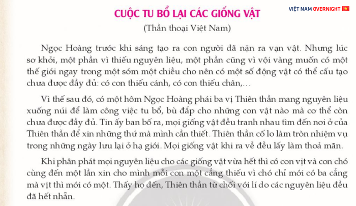 Hình minh họa (Nguồn từ internet) - ảnh 1