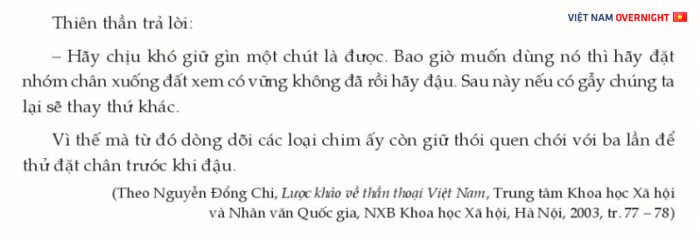 Hình minh họa (Nguồn từ internet) - ảnh 2