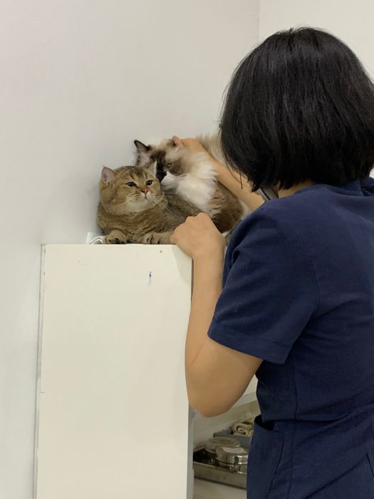 Hình ảnh Samyang Animal Clinic 2