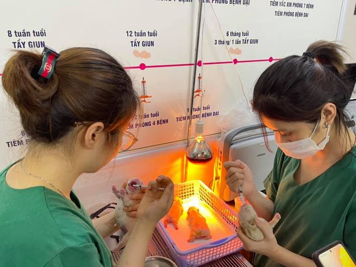 Hình ảnh Bệnh viện Thú Y Mỹ Đình 2