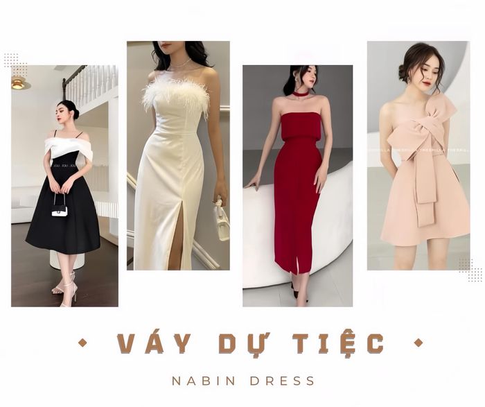 Hình ảnh NABIN Dress 2