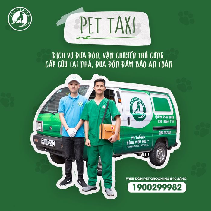 Hình ảnh Bệnh Viện Thú Y PetHealth 2