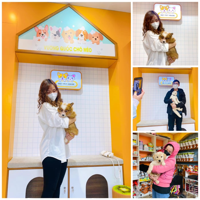 Hình ảnh Viet Pet House 2