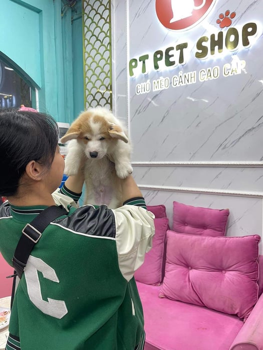 Hình ảnh PT Pet Shop 1