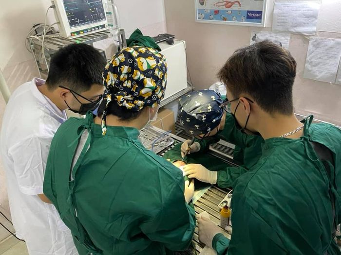 Hình ảnh Bệnh viện Thú Y Mỹ Đình 1