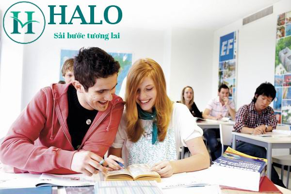 Công ty tư vấn du học HALO