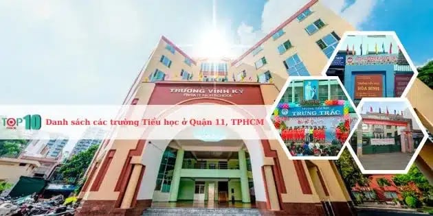 Danh sách các trường tiểu học hàng đầu tại Quận 11, TPHCM