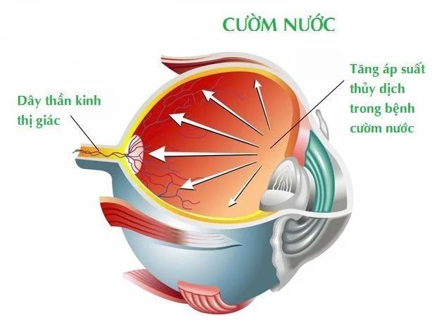 Hình ảnh Bệnh viện Mắt Sài Gòn Hà Nội 1