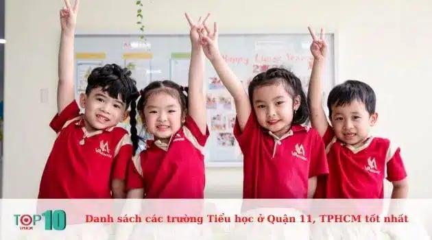 Hệ thống trường Việt Mỹ (VAschools)