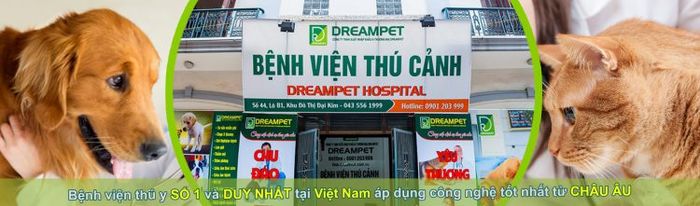 Phòng Khám Thú Y Đáng Tin Cậy Tại Hà Nội