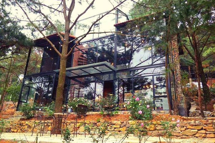 Homestay Hà Nội có sân vườn