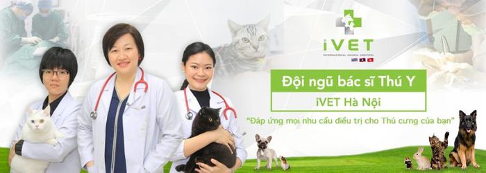 Phòng khám thú y chất lượng tại Hà Nội