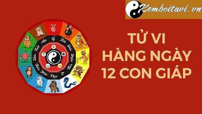 Có nên tham khảo tử vi không