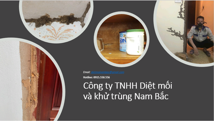 Dịch vụ diệt côn trùng của Nam Bắc