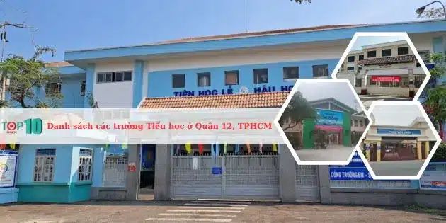 Danh sách các trường Tiểu học hàng đầu tại Quận 12, TPHCM