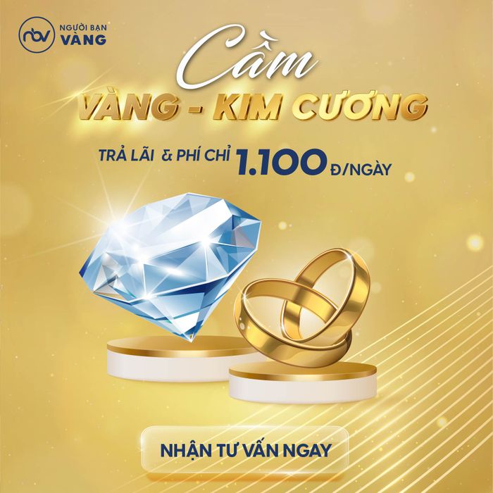 Người Bạn Vàng hình 1