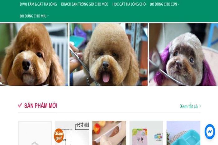 PetGold tại Hà Nội