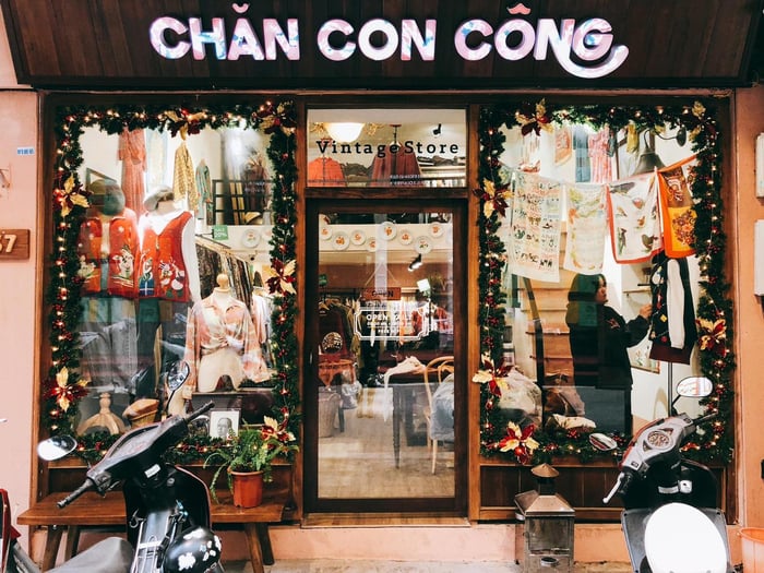 Chăn Con Công