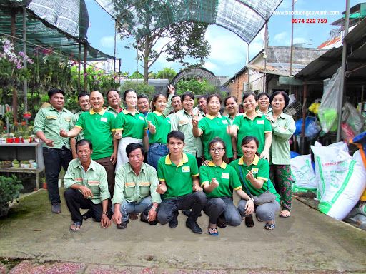 công ty cây xanh đô thị tphcm