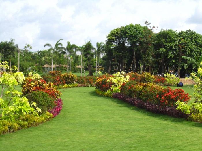 công ty cây xanh đô thị tại TP. Hồ Chí Minh