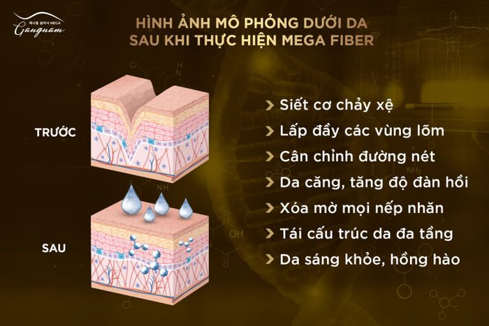 Công nghệ Mega fiber