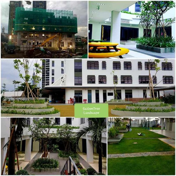 công ty cung cấp cây xanh đô thị tại tphcm