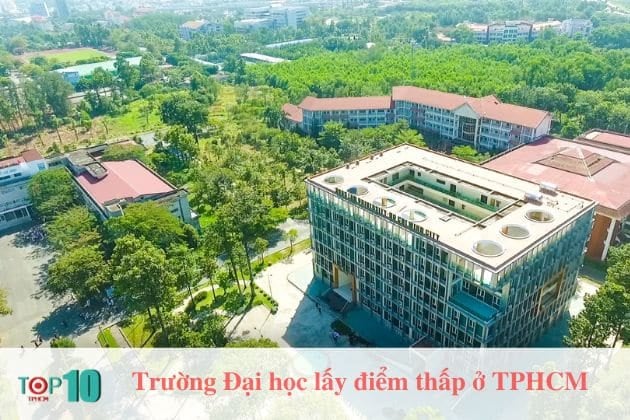 Đại học Nông Lâm TP. Hồ Chí Minh (NLU)