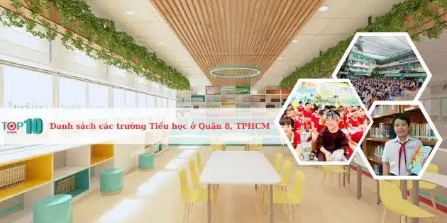 Danh sách các trường tiểu học hàng đầu tại Quận 8, TP.HCM