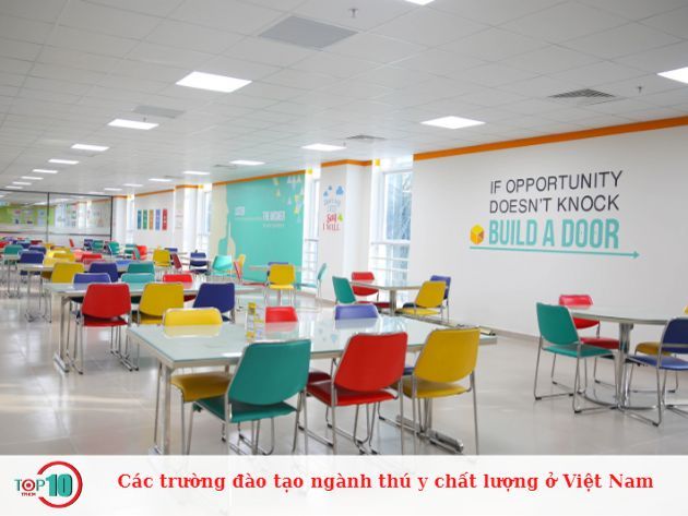 Những cơ sở đào tạo ngành thú y chất lượng tại Việt Nam