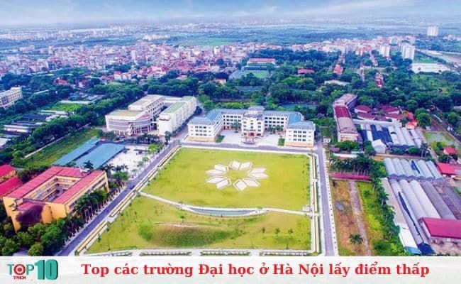 Học viện Nông nghiệp Việt Nam