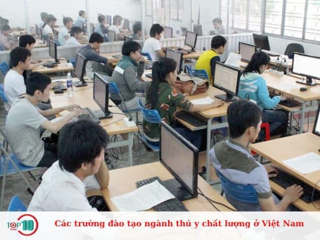 Những cơ sở đào tạo ngành thú y uy tín tại Việt Nam