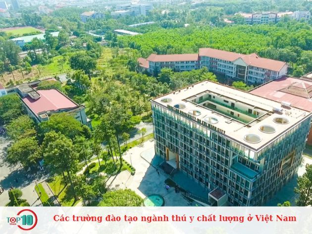 Những trường đào tạo ngành thú y chất lượng tại Việt Nam