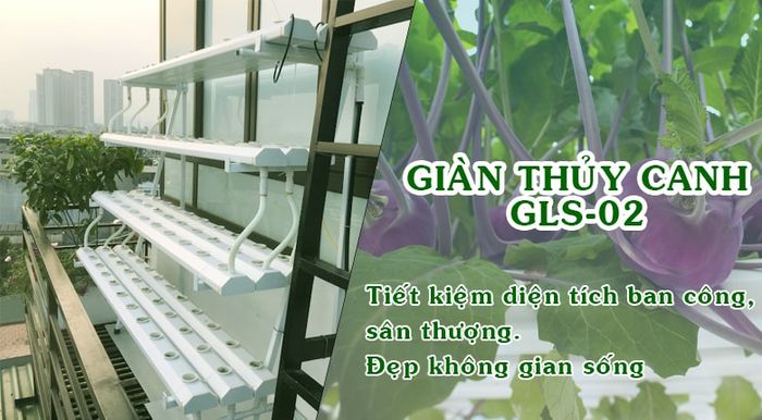 Nơi mua giàn thủy canh giá cả hợp lý và chất lượng