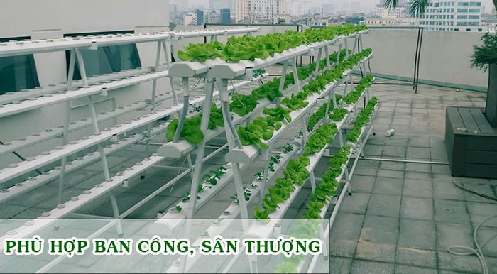 Nơi mua giàn thủy canh giá tốt và chất lượng