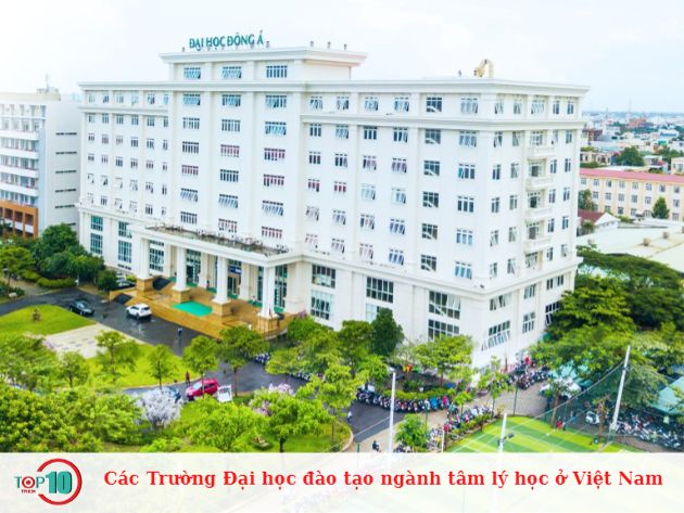 Danh sách các trường đại học đào tạo ngành tâm lý học tại Việt Nam