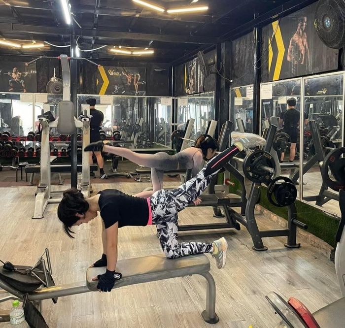 Gym Gofit
