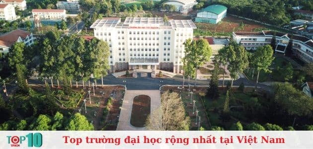 Đại học Tây Nguyên