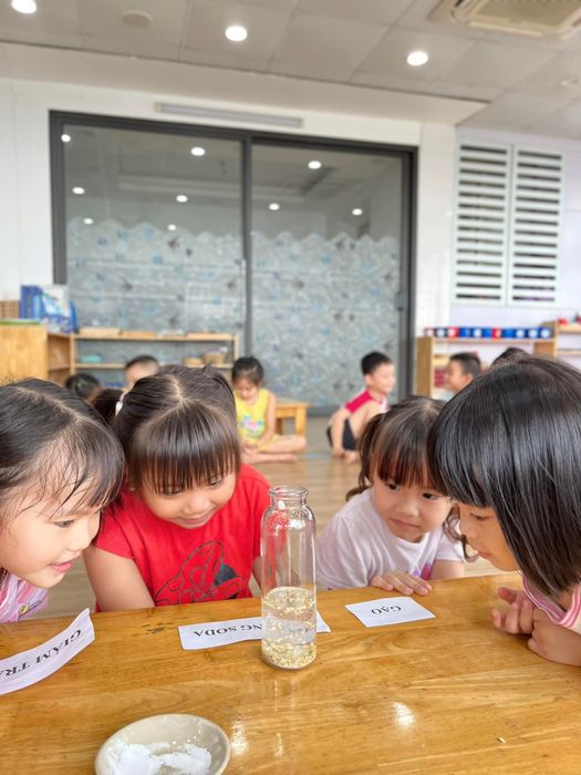 Hình ảnh Trường mầm non Neverland Montessori 2