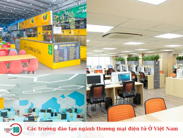 Các trường đào tạo ngành thương mại điện tử Ở Việt Nam