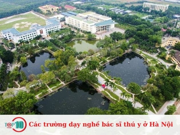 Các cơ sở đào tạo bác sĩ thú y tại Hà Nội