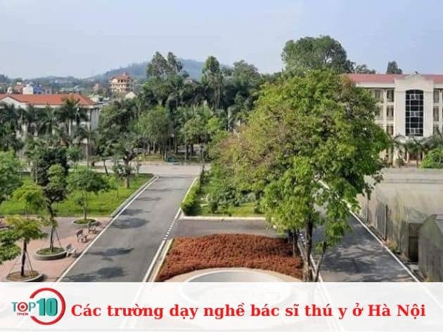 Các cơ sở đào tạo bác sĩ thú y tại Hà Nội