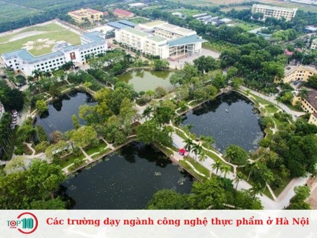 Các trường đào tạo ngành công nghệ thực phẩm tại Hà Nội