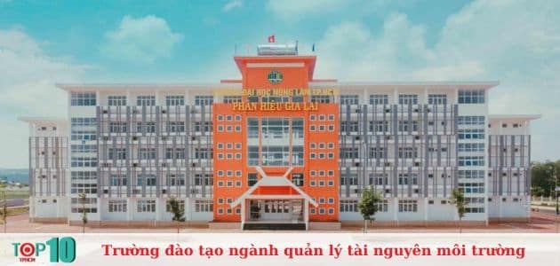 Đại học Nông Lâm TP.HCM - Gia Lai