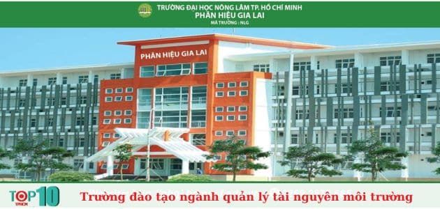 Đại học Nông Lâm TP.HCM - Gia Lai