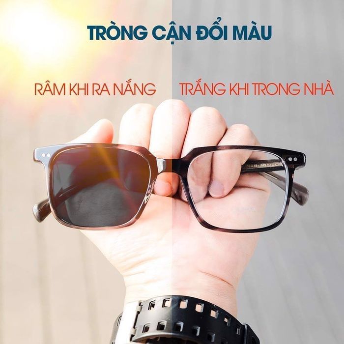 Hình ảnh Công Ty Kính Mắt Việt Nhãn 1