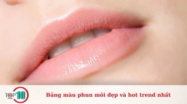 Phun môi màu hồng nude