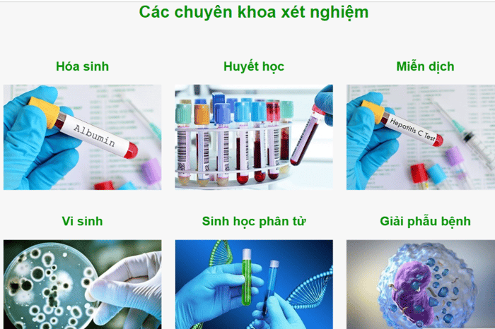 Ảnh 1 của Trung tâm xét nghiệm Greenlab